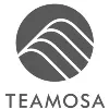 TEAMOSA, Inc. TEAMOSA, Inc.