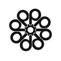 Develotek 