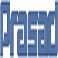 Prasad Electrical Engineering Pvt. Ltd.