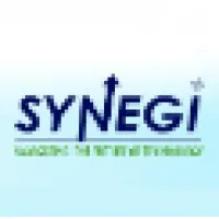 Synegi
