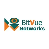 BitVue Networks