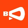 Banner Director