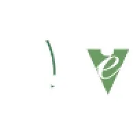 Vaishnavi Engineering