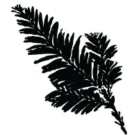 Senses Wines Senses Wines