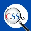 Computer Software Solutions LLC