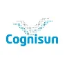Cognisun Inc.