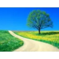 Asset Management Group, Inc. Asset Management Group, Inc.