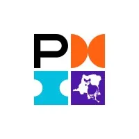 Chapitre PMI RDC