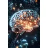 Brainasium LLC Brainasium LLC