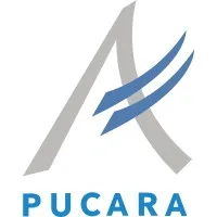 Pucará S.A.