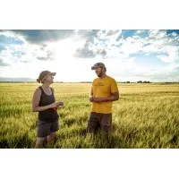 Root Shoot Malting Root Shoot Malting