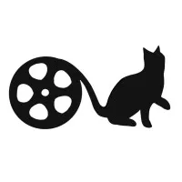Two Black Cats Film Two Black Cats Film