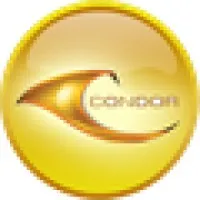 Condor Contracting Inc