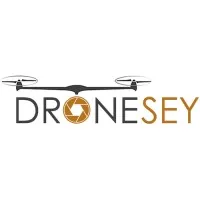 Dronesey