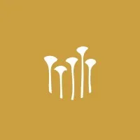 Cara Smith Landscape Design