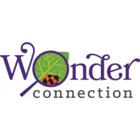Wonder Connection