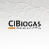 CIBiogás - Instituição de Ciência, Tecnologia e Inovação - Biogás e outras Energias Renováve CIBiogás - Instituição de Ciência, Tecnologia e Inovação - Biogás e outras Energias Renováve