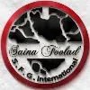 sainafooladco