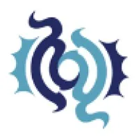 Aurora Wireless Networks