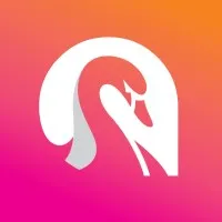 Swan Technology Solutions