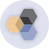 dnsllc
