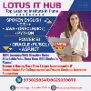 Lotus IT Hub