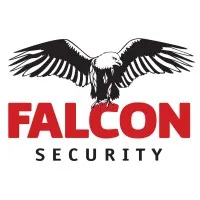 Falcon Security