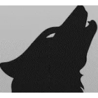Dark Wolfe Consulting, LLC Dark Wolfe Consulting, LLC