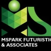 MSPARK FUTURISTICS & ASSOCIATES