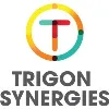 Trigon Synergies Trigon Synergies