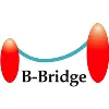 B-Bridge International B-Bridge International