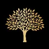 Caspersz Chegini LLP Caspersz Chegini LLP
