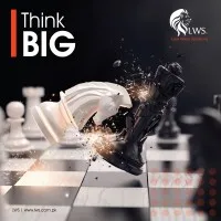 Lion Wave Solutions (LWS)