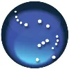 Orion Industries, Ltd. Orion Industries, Ltd.