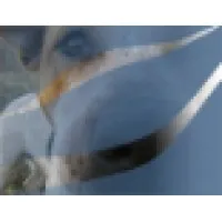 Crystal Clear Canine Training