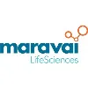 Maravai LifeSciences Maravai LifeSciences