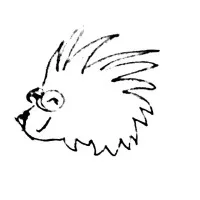 Gumfoot Consulting LLC