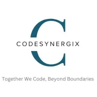CodeSynergiX