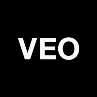 VEO Branding Company