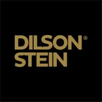 Dilson Stein New Models