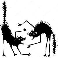 Cat Fight Productions