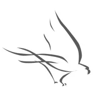 GW Advance Engineering