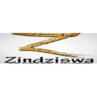 ZINDZISWA CONCEPT LIMITED