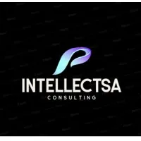 IntellectSA Consulting IntellectSA Consulting