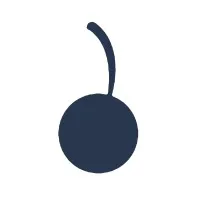 Cherries Portfolio Builder