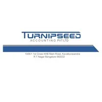 Turnipseed Accounting