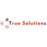 TRUE SOLUTIONS LLC TRUE SOLUTIONS LLC