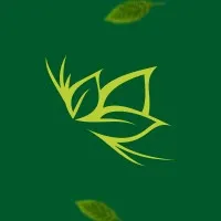 Rede Cia da Saúde Rede Cia da Saúde