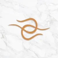 Ajnaa Jewels