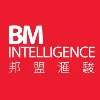 BM Intelligence Group